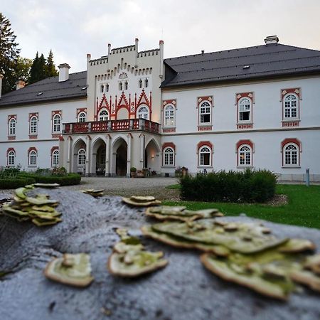 Chateau Heralec Boutique Hotel & Spa By L'Occitane Екстериор снимка